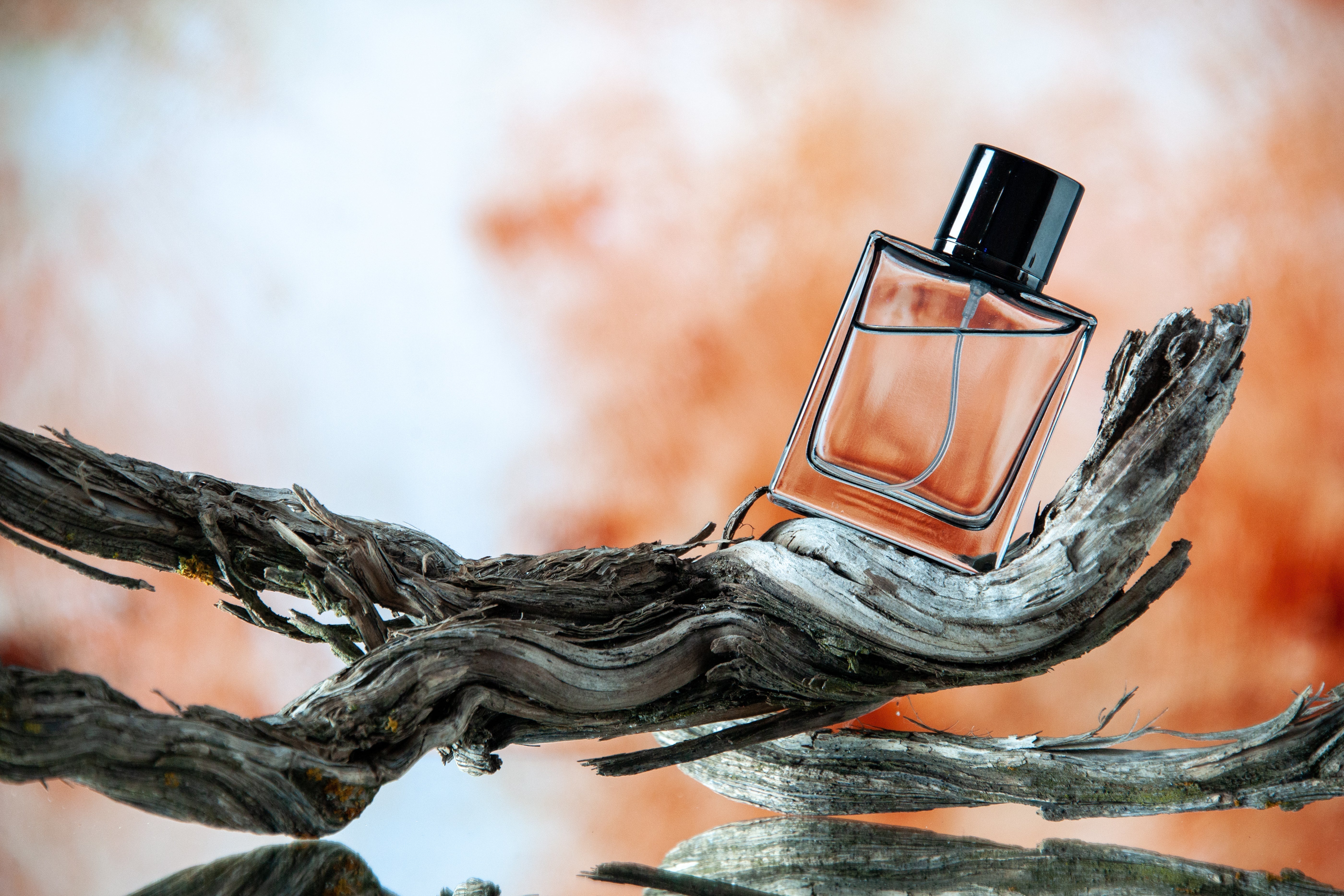 What Perfume Lasts Longest on Dry Skin Types? Ultimate Guide for Lasting Luxury